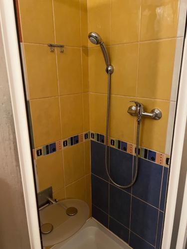 a small bathroom with a toilet and a shower at Přízemí rodinného domu in Košťálov