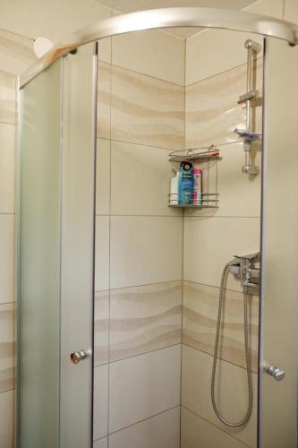 a shower with a glass door in a bathroom at Brvnaria in Slatina Varoš