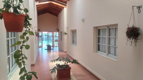 an empty hallway with potted plants in a building at Apart Hotel El Remanso in Federación