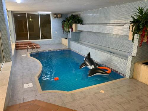 einen Pool mit Delfin im Wasser in der Unterkunft درة العروس شاليه لونج بيتش in Durrat Al-Arus