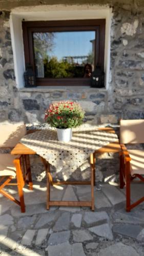 a table with a potted plant on a stone patio at Guesthouse Sofia in Palaios Agios Athanasios
