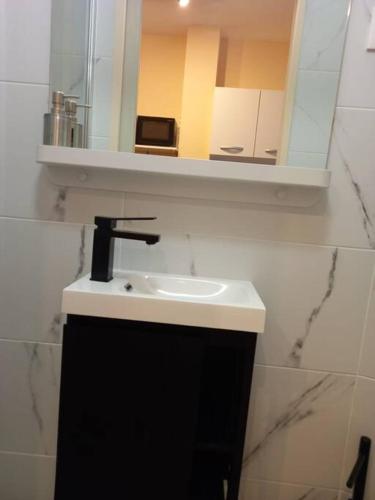 une salle de bain avec un lavabo et un miroir dans l'établissement Paris XV: Superbe appartement, à Paris