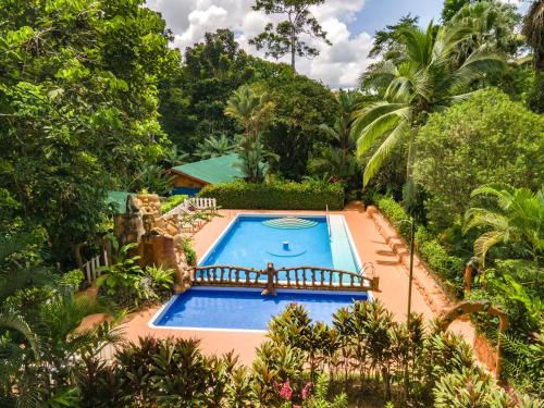 an overhead view of a swimming pool in a garden at Ara Ambigua Lodge in Sarapiquí