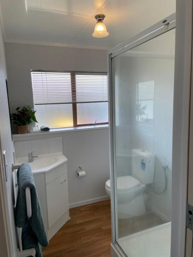 a bathroom with a toilet and a glass shower door at St Andrews Unit in Hamilton