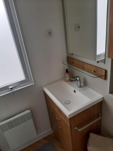 een badkamer met een wastafel en een spiegel bij Chalet DIE SONNE in Oostkapelle