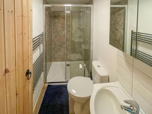 a bathroom with a toilet and a sink and a shower at Palm Cottage in Saint Day