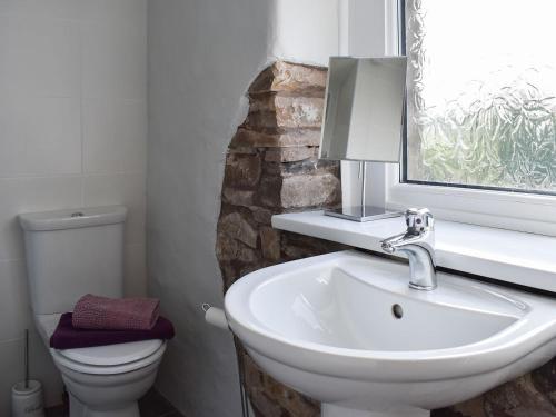 a bathroom with a sink and a toilet and a window at 3 Winville Mews in Askrigg