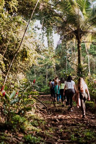 a group of people walking down a trail in the jungle at Ara Ambigua Lodge in Sarapiquí