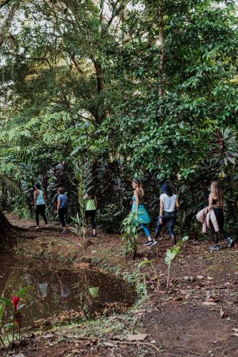 a group of people walking through a forest at Ara Ambigua Lodge in Sarapiquí