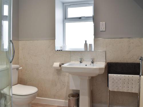 a bathroom with a sink and a toilet and a window at Owl Cottage in Ryton