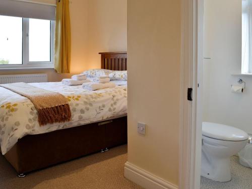 a bedroom with a bed with a toilet and a window at Zonnebloem in Cefn-y-bedd