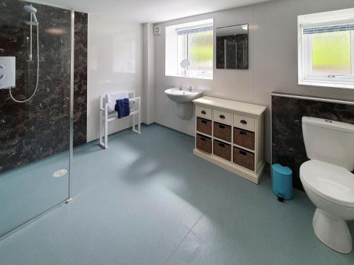 ein Bad mit einem WC, einem Waschbecken und einer Dusche in der Unterkunft Tor Aluinn in Skullomie