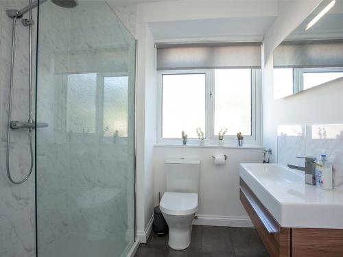 a bathroom with a shower and a toilet and a sink at Dolphin Heights in Torquay