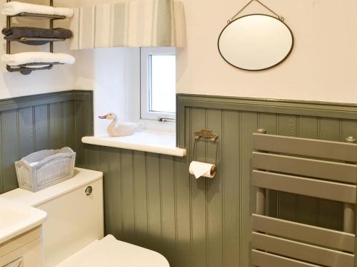 a bathroom with a toilet and a sink and a mirror at Lake View Cottage in Falstone