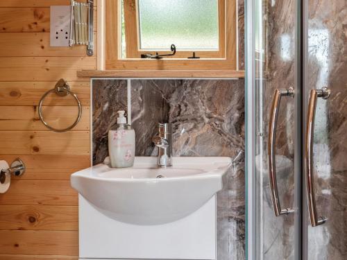 a bathroom with a sink and a shower at Valley View - Uk34178 in Cilycwm