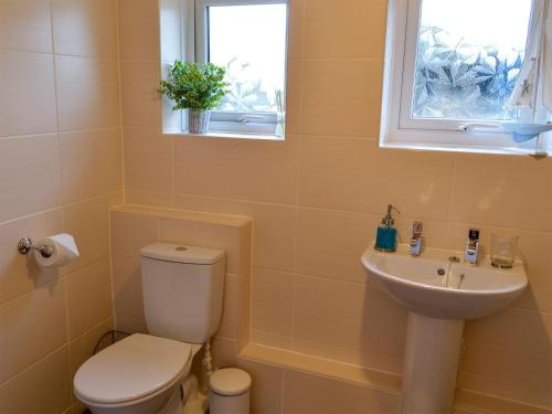 a bathroom with a toilet and a sink and a window at Westfield Farm Cottage in Seaton Delaval