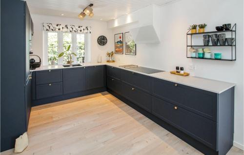 a kitchen with black cabinets and a wooden floor at Lovely Home In Samsø With Wifi in Ballen