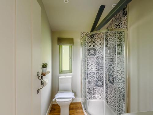 a bathroom with a white toilet and a shower at Glyn-Haul - UK32022 in Llanidloes