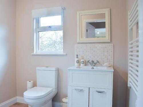 a bathroom with a toilet and a sink and a mirror at Pheasant Lodge in Staithes