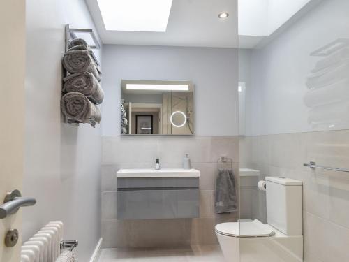 a bathroom with a sink and a toilet and a mirror at Woodgate Cottage in Dalton in Furness