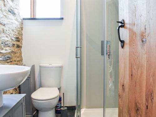 y baño con aseo y ducha acristalada. en Slade Cottage - Uk35027, en Highbray