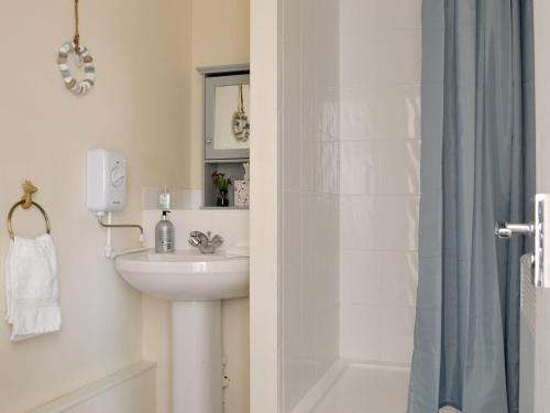 a bathroom with a sink and a shower at Mango Ponys Bothy - Uk31959 in Dibaig