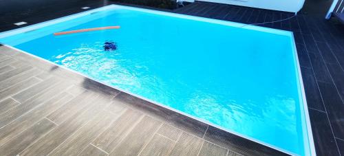 a swimming pool with a dog in the water at DV REAL PHILOXENIA Villa in Oyster Pond