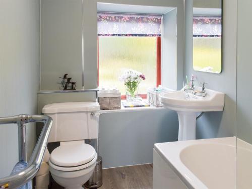 a bathroom with a toilet and a sink and a window at Ashfield in Paxton