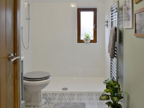 a bathroom with a toilet and a window at Howe Cottage in Laurencekirk