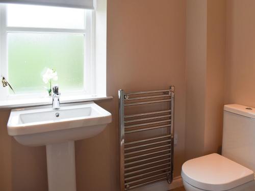 bagno con lavandino, servizi igienici e finestra di Forth View-uk34217 ad Aberfoyle