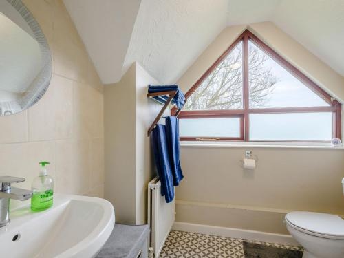 a bathroom with a sink and a toilet and a window at Riverside Cottage in Loddon