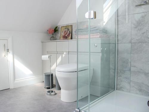 a bathroom with a toilet and a glass shower at Pasture View in Barnard Castle