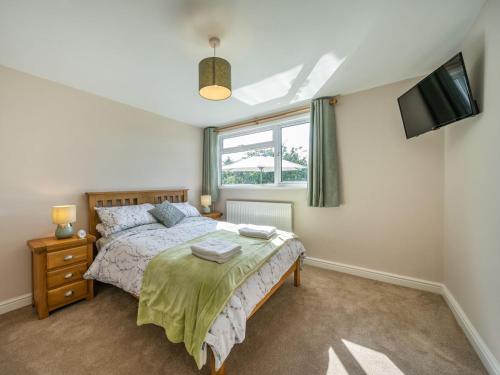 a bedroom with a bed and a tv at Meadowcroft in Bettws Disserth