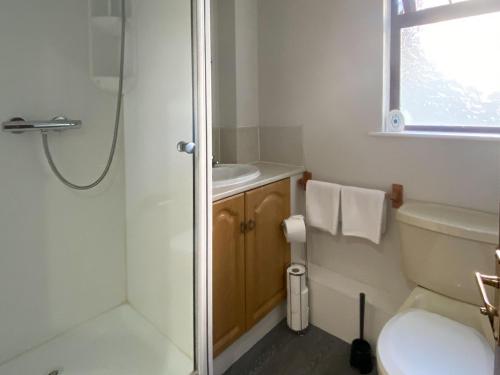 uma casa de banho com um chuveiro, um WC e um lavatório. em Puffin - Dubh Segir em Lerags