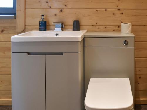 a bathroom with a sink and a toilet at Pine Lodge - Uk30007 in Lindal in Furness