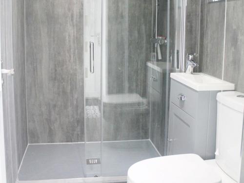 a bathroom with a shower with a toilet and a sink at Linne Foirthe in Dysart