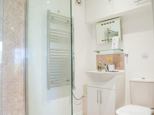 a bathroom with a shower and a toilet and a sink at Hop Kiln Barn in Staunton on Wye