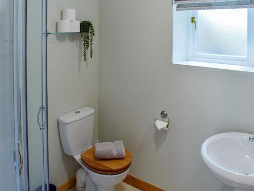 a bathroom with a toilet and a sink at Little Ingas Cottage in Strathmiglo