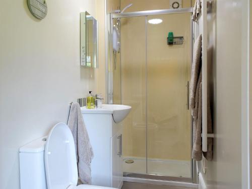 a bathroom with a shower and a toilet and a sink at Walkers Lodge in Hampton Bishop