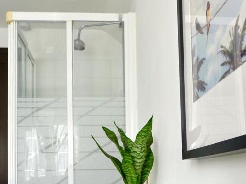 a green plant sitting in front of a shower at Driftwood House in Sheringham