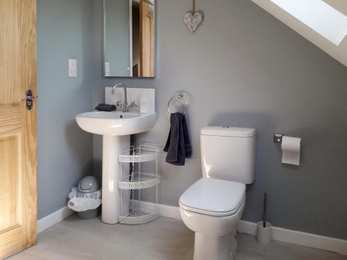 a bathroom with a toilet and a sink at Herons Nest in Bourton on the Water