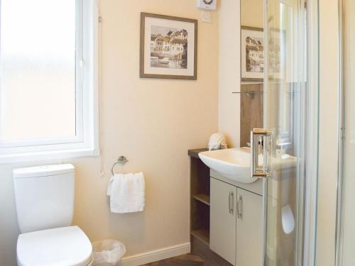 uma casa de banho com um WC e um lavatório em Riverside Lodge em Auchterarder