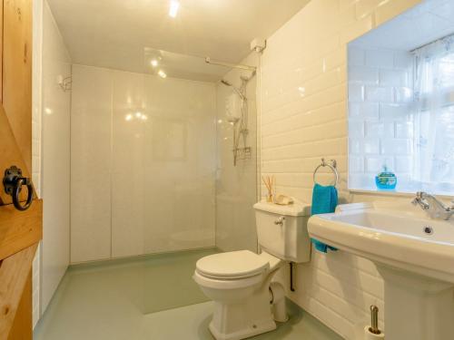 a bathroom with a toilet and a sink and a shower at Pen Y Crug in Beulah