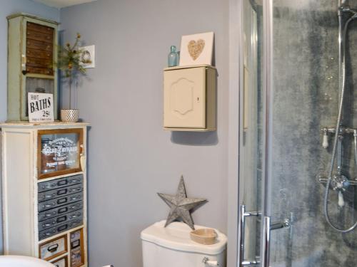 a bathroom with a shower and a starfish on the wall at Townhead Cottage in Alwinton
