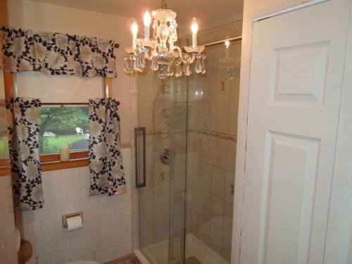 a bathroom with a shower and a chandelier at Relax in Nature & Serenity at Bird River Cottage! in Middle River