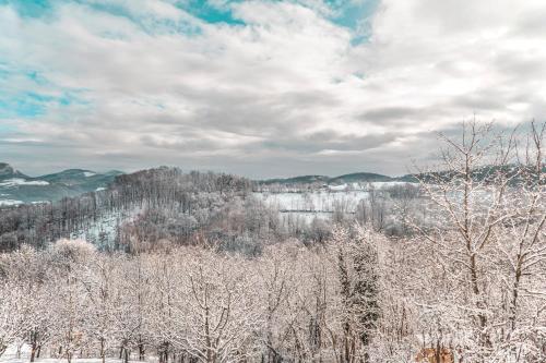a group of trees covered in snow with mountains in the background at Apartmani Lunija in Gornji Milanovac