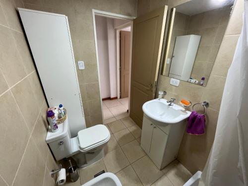 サンルイスにあるDepartamento San Luis Centroのトイレと洗面台のあるバスルーム