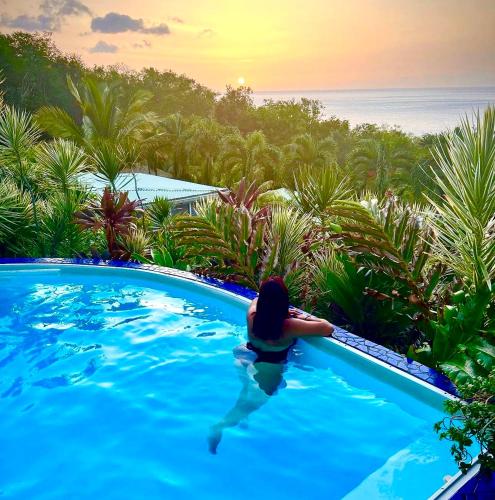 a woman in a swimming pool looking out at the ocean at Vue Mer/3Beds/Piscine/wifi/900 mètres de la plage in Deshaies