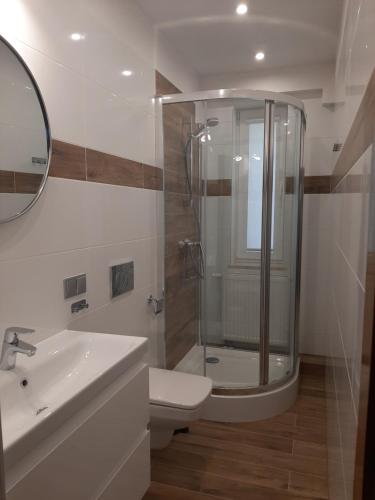 uma casa de banho com um chuveiro, um WC e um lavatório. em Blisko morza em Jastarnia