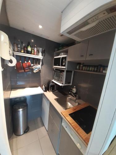 une petite cuisine avec un évier et un micro-ondes dans l'établissement studio quartier calme centre ville vue mont Blanc, à Chamonix-Mont-Blanc